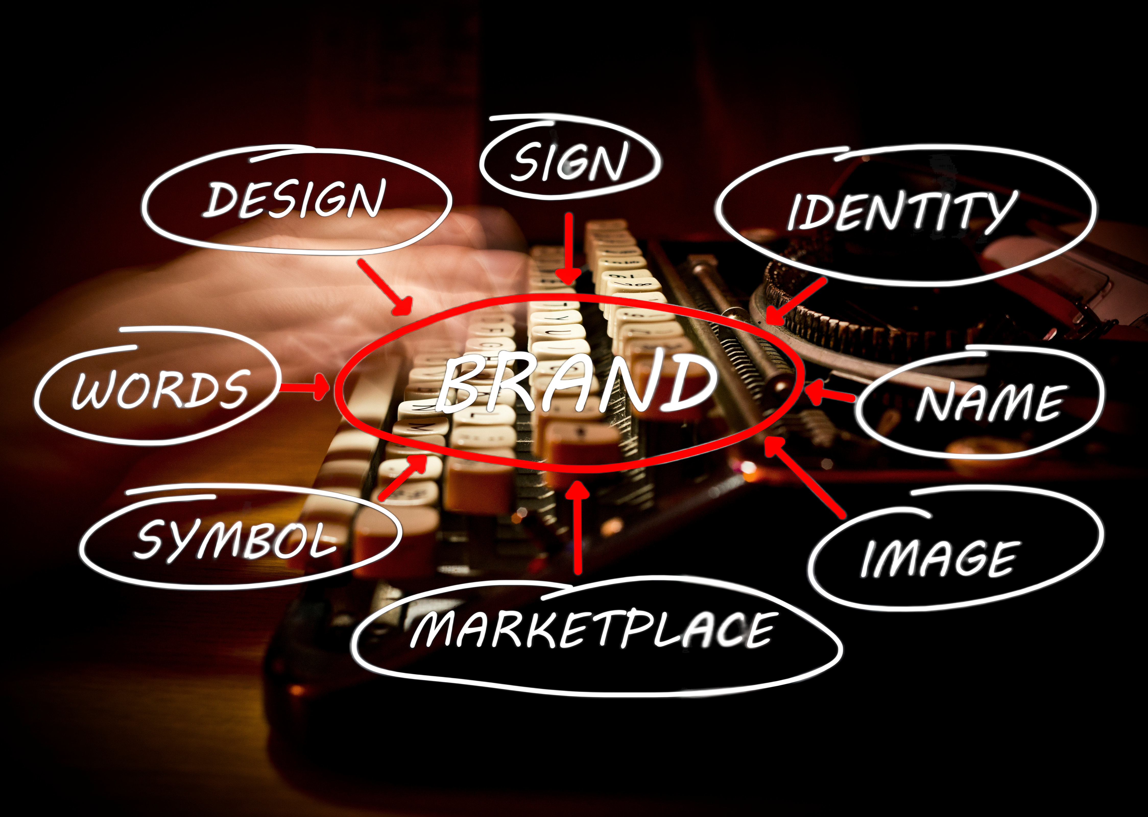 TWG_BrandManagement.jpg